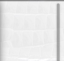 網(wǎng)站無滾拉條設(shè)計